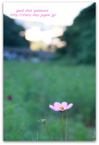 IMG_7948a.jpg