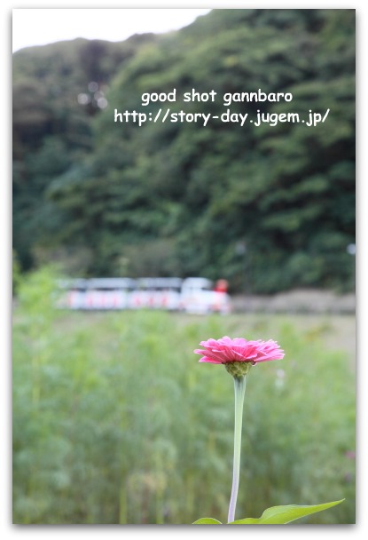 IMG_7953a.jpg