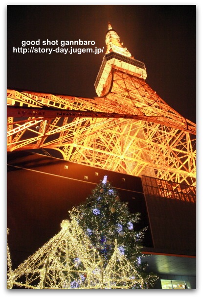 IMG_8821a.jpg
