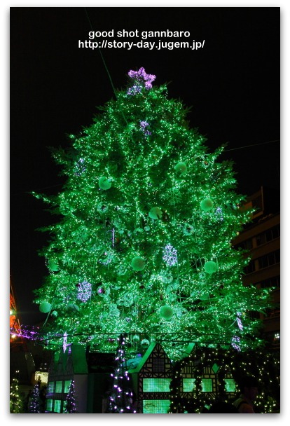 IMG_8792a.jpg