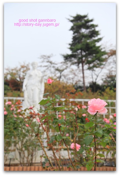IMG_8616a.jpg