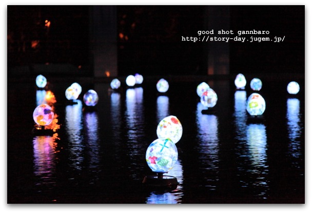 IMG_8850a.jpg