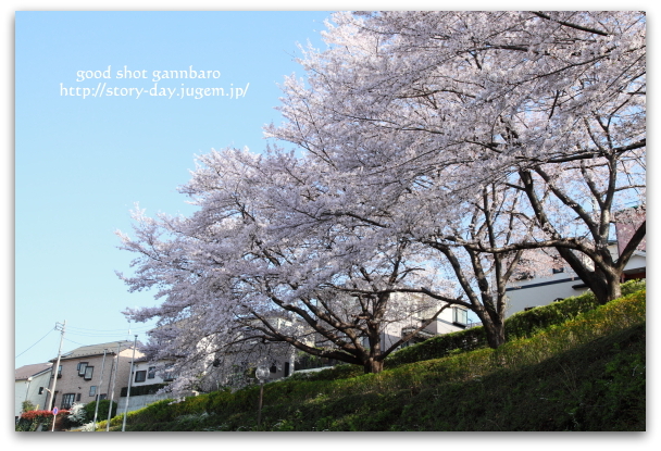 IMG_1563aa.jpg
