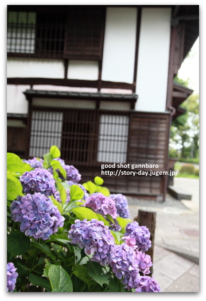 IMG_3933a.JPG