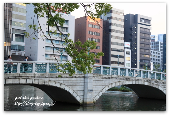 IMG_4527a.JPG