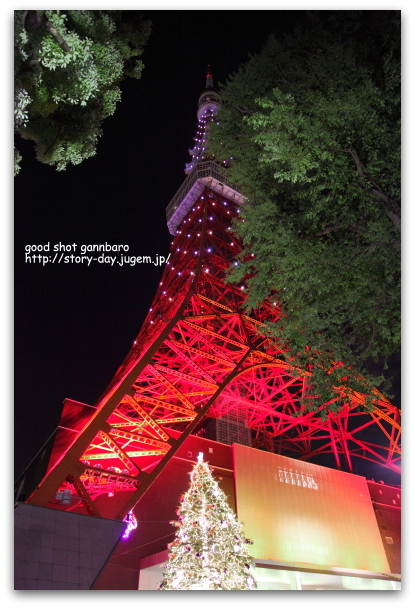 IMG_6602a.JPG