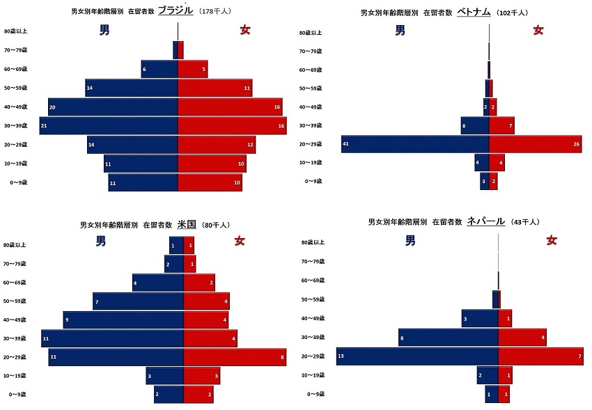 年齢階層別 国籍別2 S.jpg