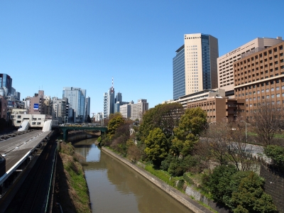 image1.JPG
