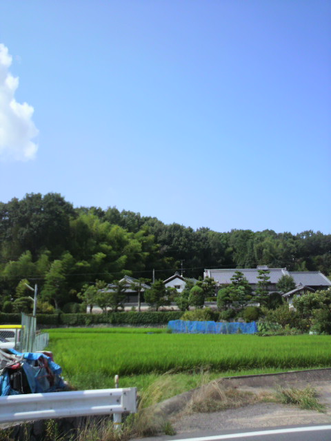 2011081514160000.jpg