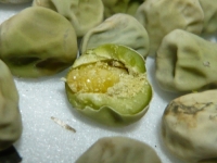 ¥¨¥ó¥É¥¦¥Þ¥á¥¾¥¦¥à¥·¤Îéì