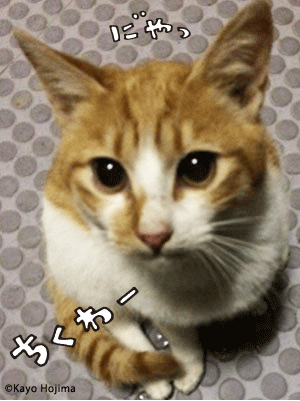 ちくわくん。