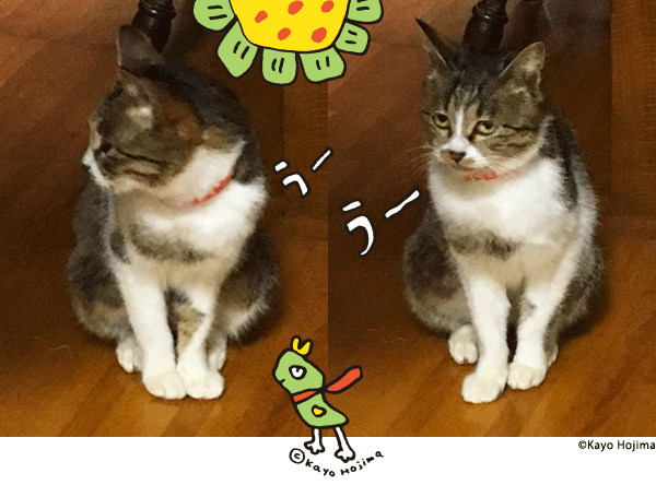 つくねちゃん