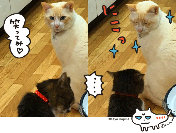 笑ってみるはんぺん。固まるつくね。