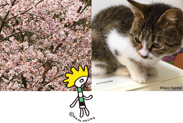 桜とつくね。