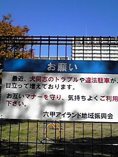 161113_1019~01.JPG