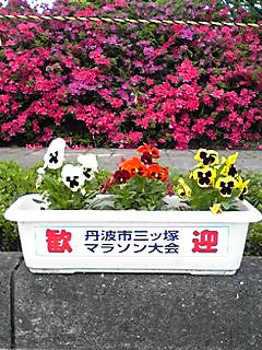 170514_0900~01.JPG