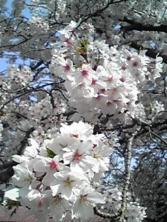 180401_1414~01.JPG