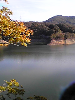 181118_0940~02.JPG