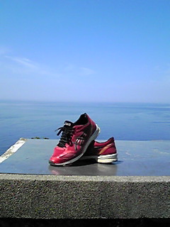 190526_1342~01.JPG