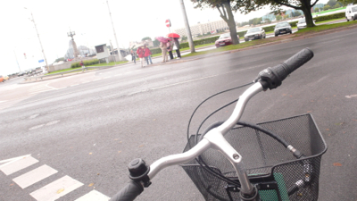 P1140627.jpg