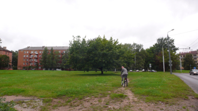 P1140633.jpg
