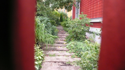 P1140708.jpg