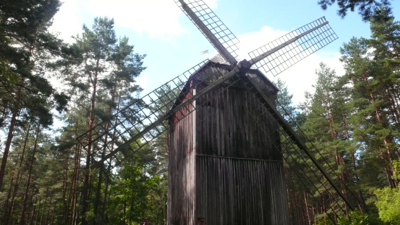 P1150047.jpg