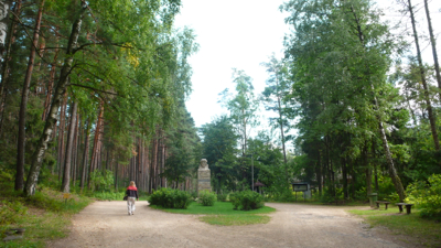 P1150098.jpg