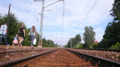 P1150135.jpg