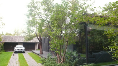 P1150139.jpg
