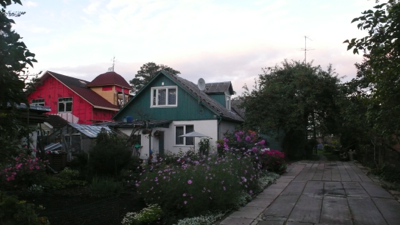 P1150207.jpg