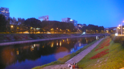 P1150794.jpg