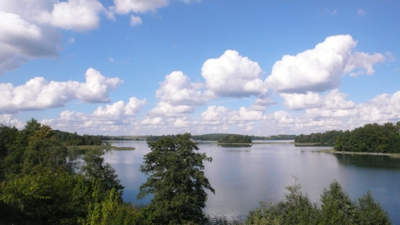 P1160009.jpg