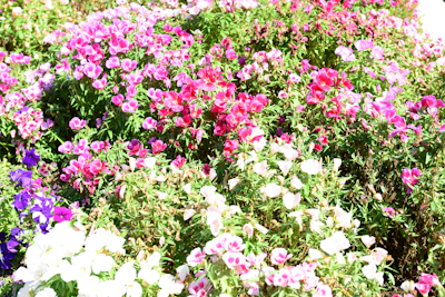 CHR_4670.jpg