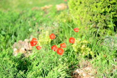 CHR_4697.jpg