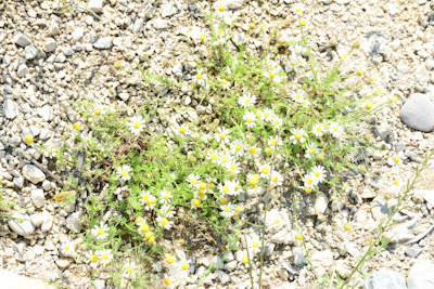 CHR_4727.jpg
