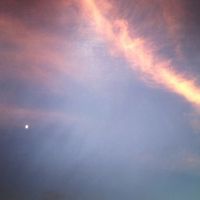 IMG_6476.jpg