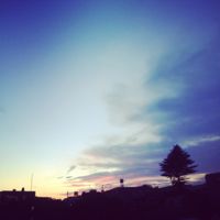 IMG_6787.jpg