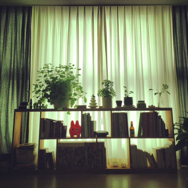 写真 2-24.JPG