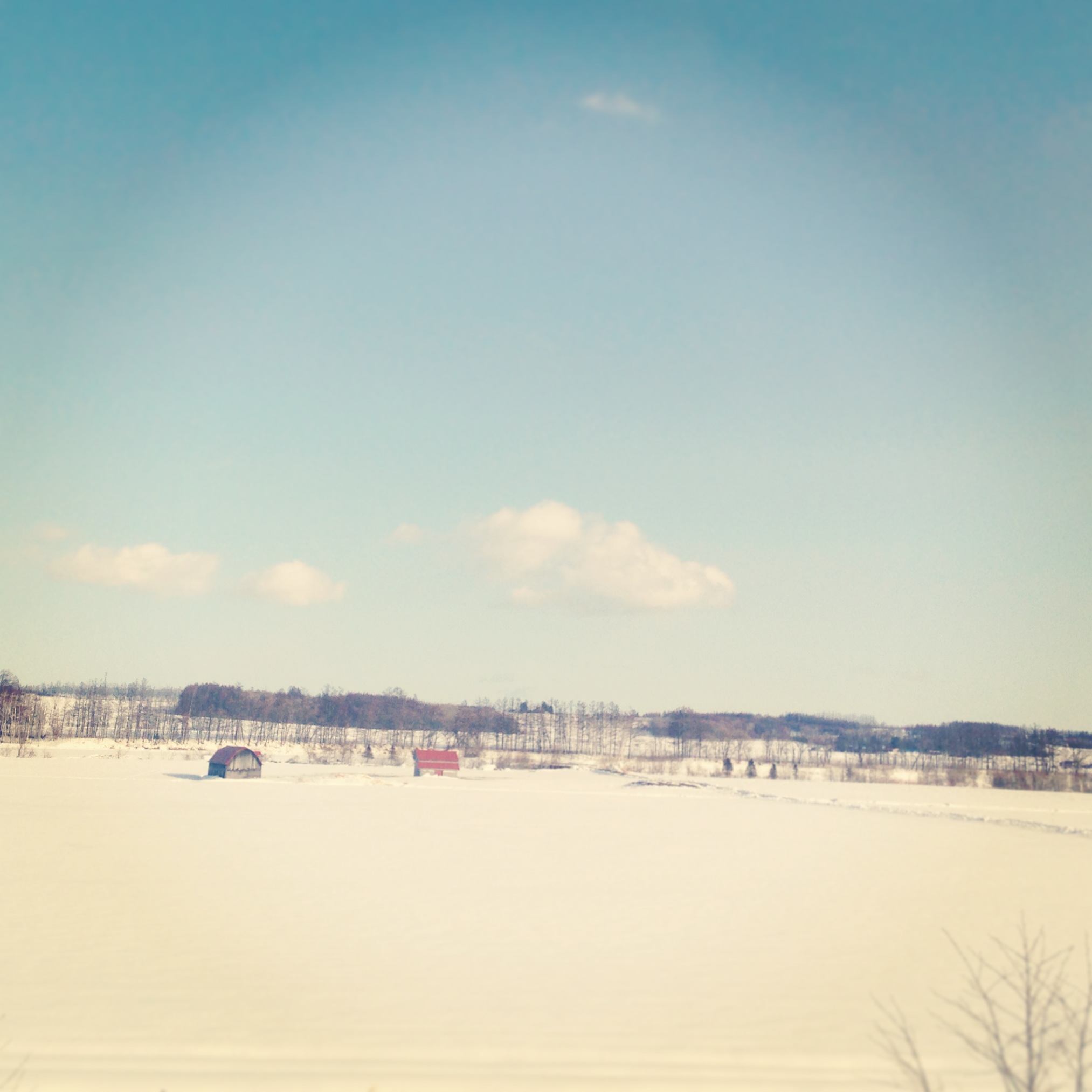 写真 5-30.JPG