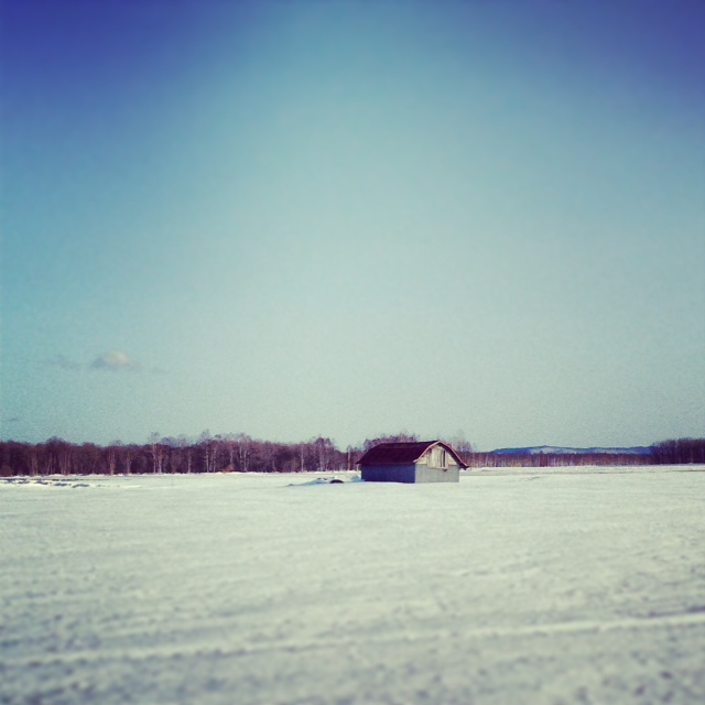 写真 1-33.JPG