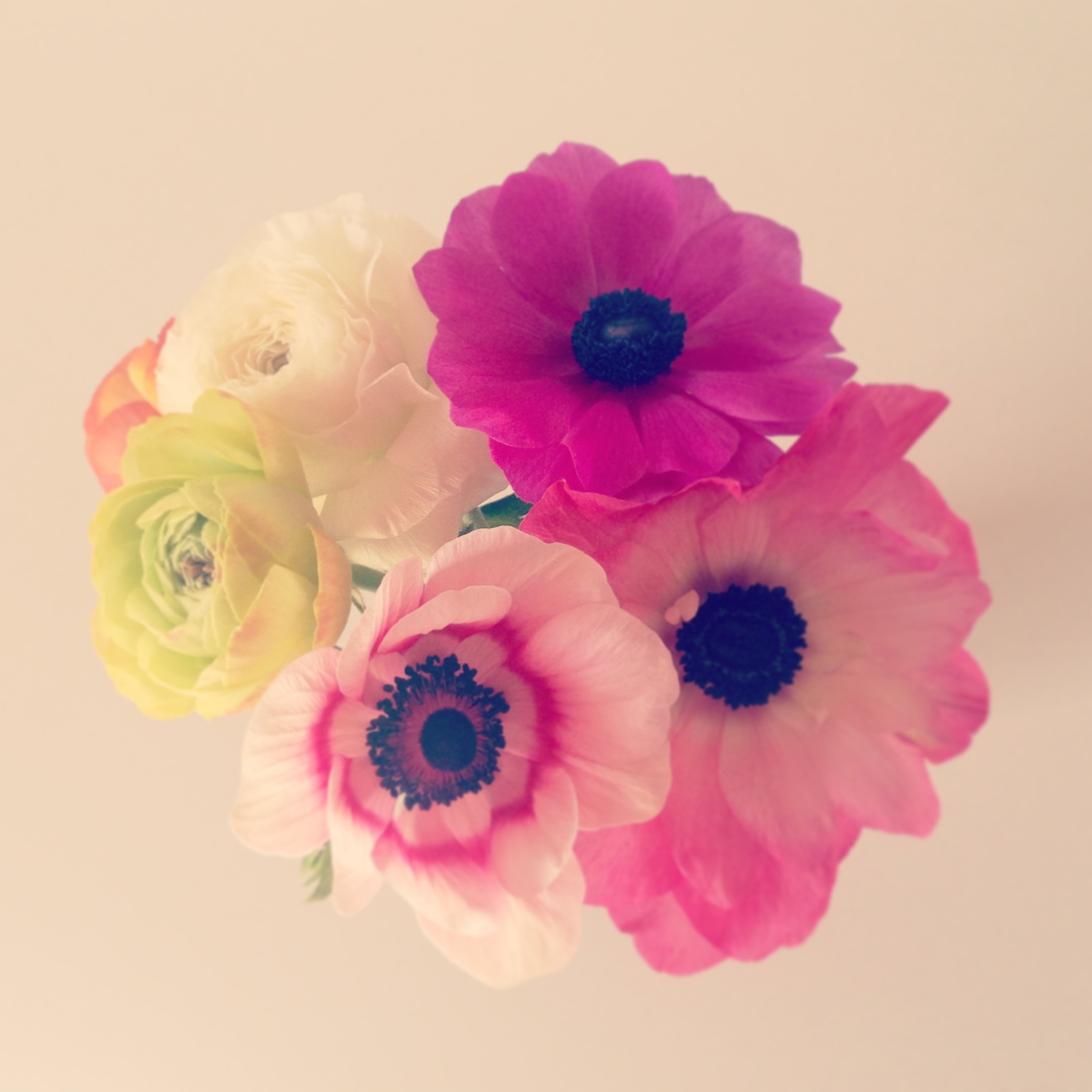 写真 3-33.JPG
