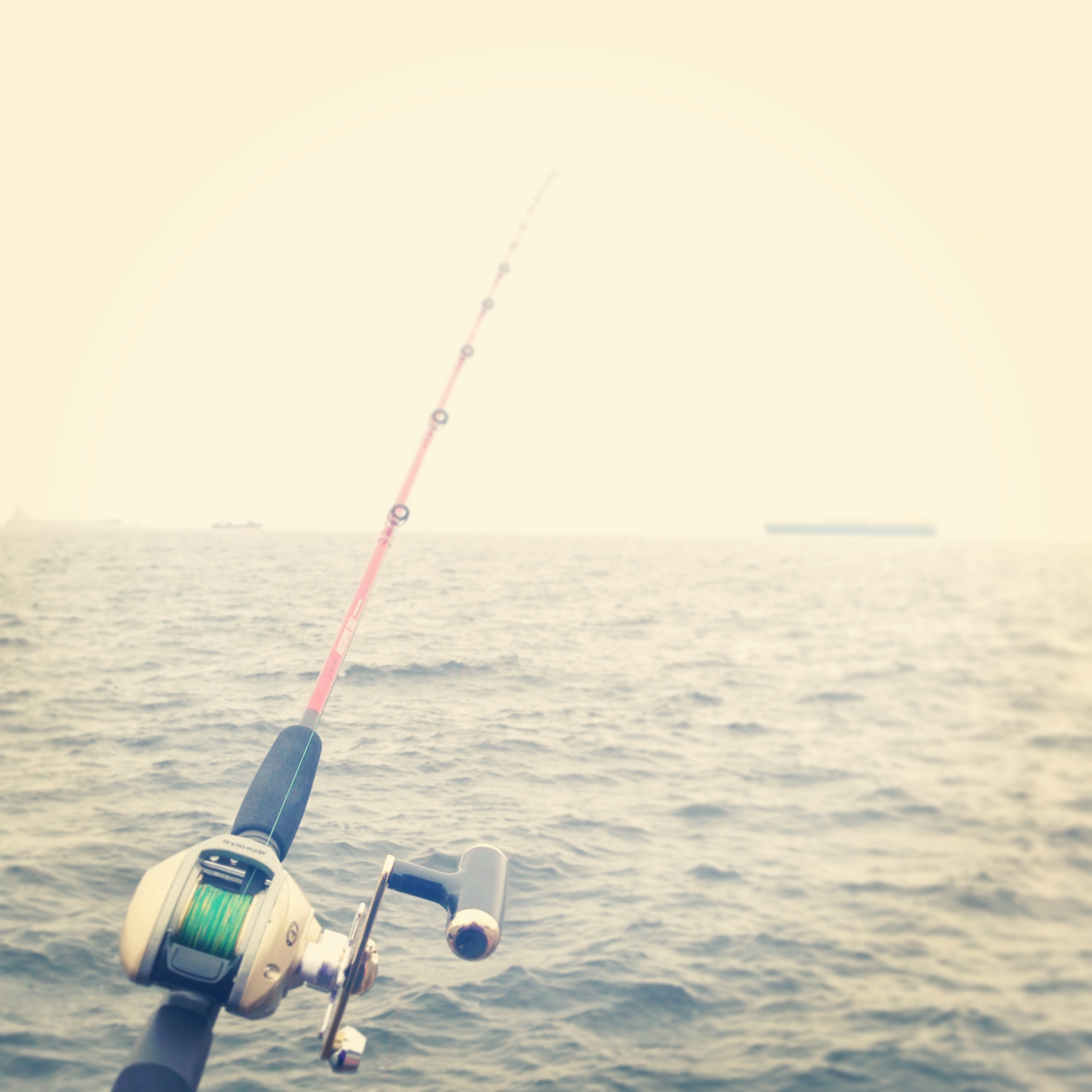 写真 2-35.JPG