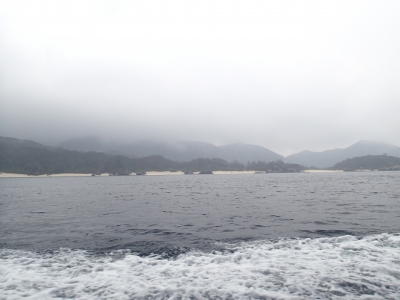 P4140275.JPG