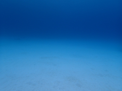 P4140336.JPG