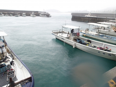 P4140354.JPG