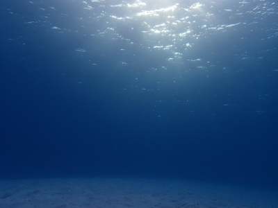 P4150462.JPG