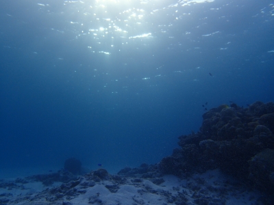 P4150487.JPG