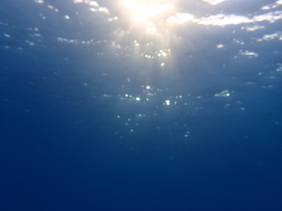 P4150530.JPG