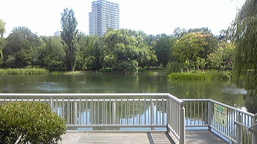 120728_130503_ed.jpg